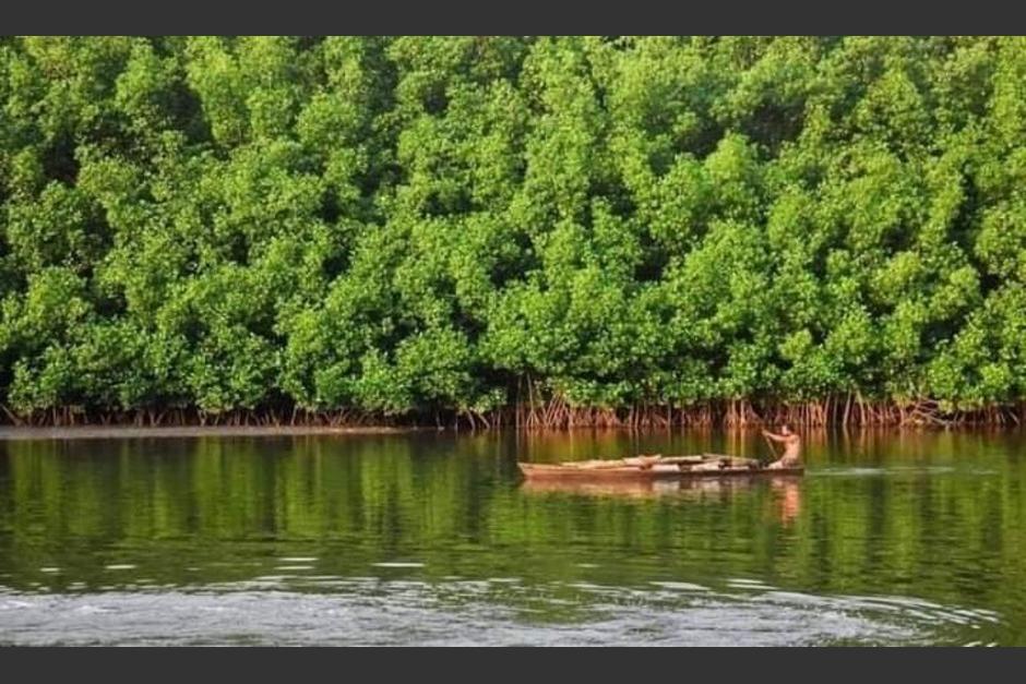 Reserva Manch&oacute;n Guamuchal: Un tesoro milenario en el Pac&iacute;fico Gt.&nbsp;(Foto: Dosis Diaria)