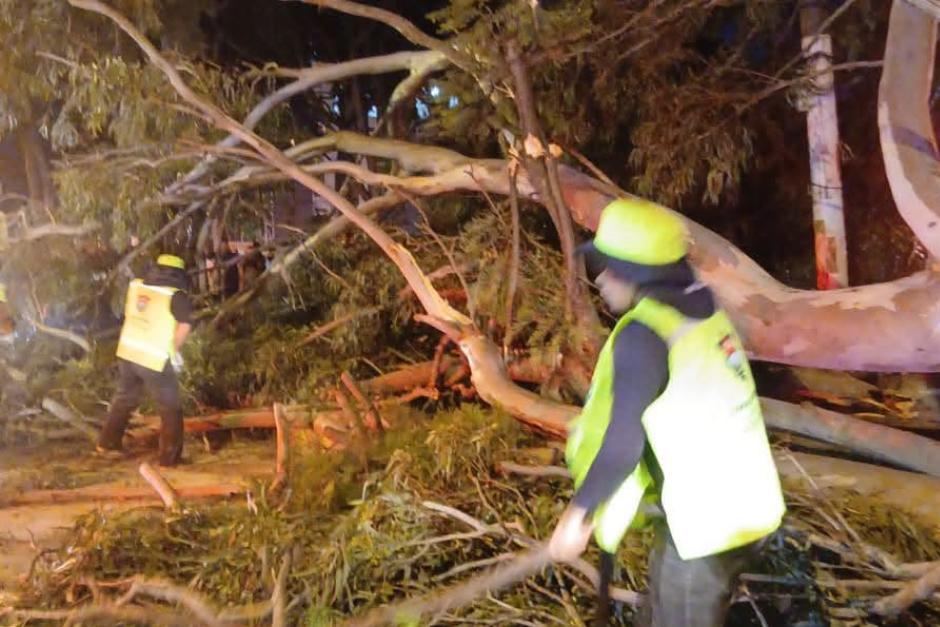 Personal municipal realiza acciones de limpieza mientras bomberos brindan primeros auxilios. (Foto v&iacute;a: Amilcar Montejo)