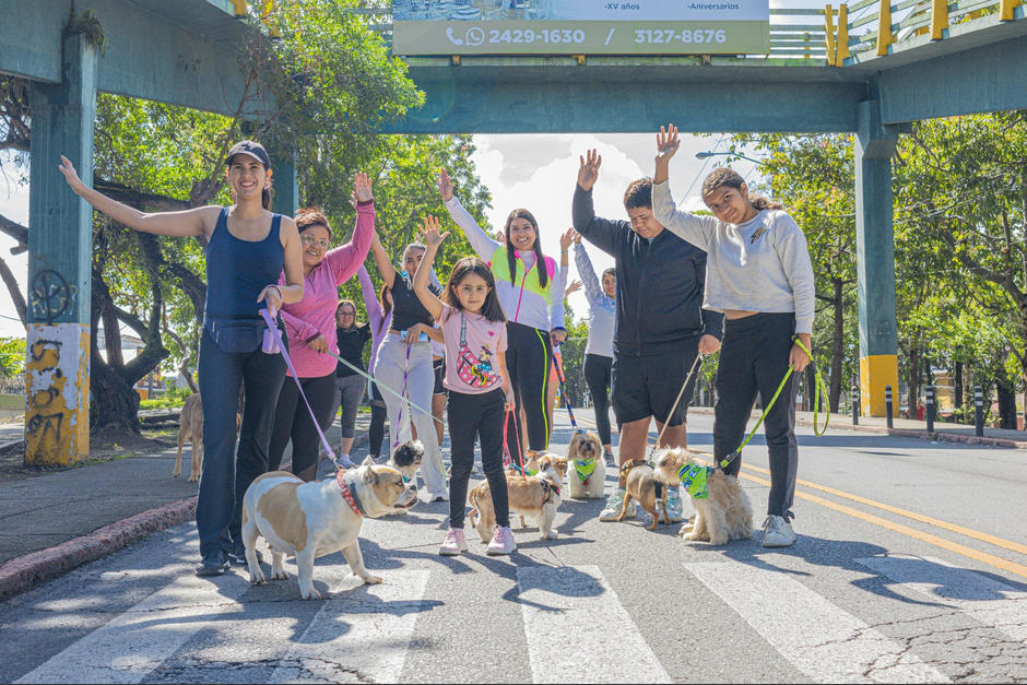 Lo recaudado se destinar&aacute; a los programas que brindan atenci&oacute;n a los perritos de los albergues municipales de la Unidad Municipal de Bienestar Animal.&nbsp;(Foto: Cortes&iacute;a Municipalidad de Guatemala)