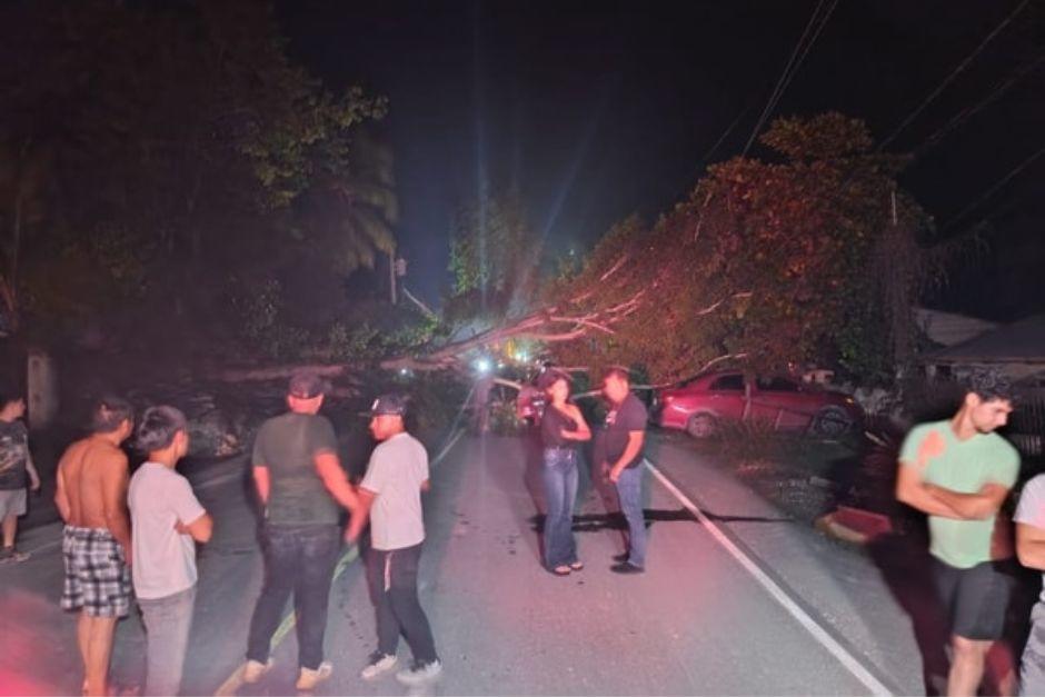 El &aacute;rbol cay&oacute; sobre dos adolescentes que se conduc&iacute;an en una motocicleta. (Foto: Roberto Morales/Colaborador)
