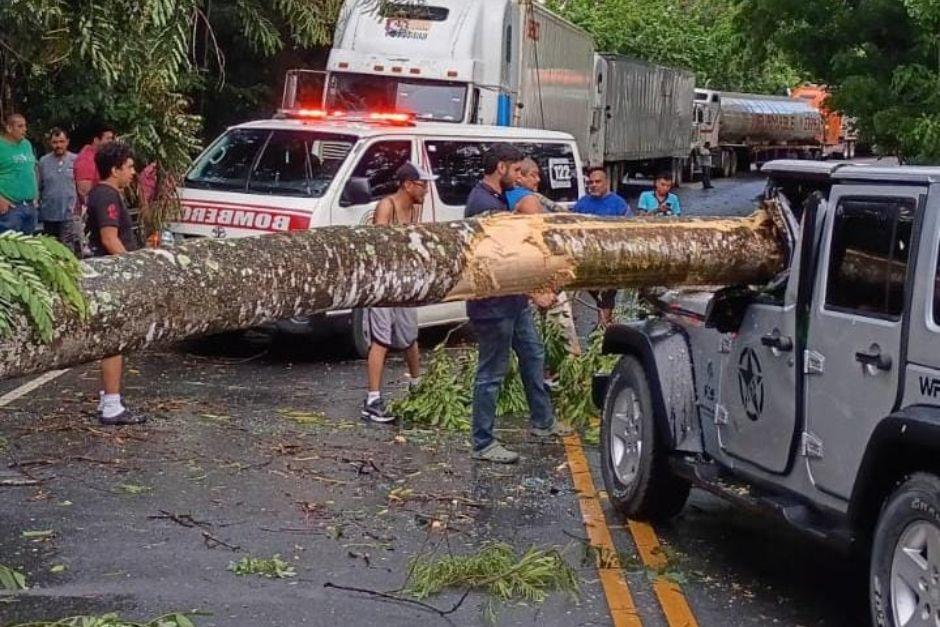 El &aacute;rbol cay&oacute; sobre el veh&iacute;culo en el que se movilizaba un hombre mayor. (Foto: Bomberos Voluntarios)&nbsp;