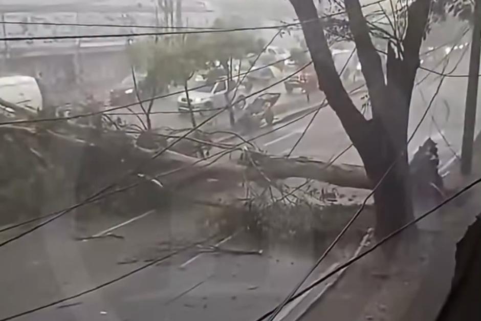 Al menos cuatro puntos se ven obstaculizados debido a la ca&iacute;da de &aacute;rboles. (Foto: RRSS)