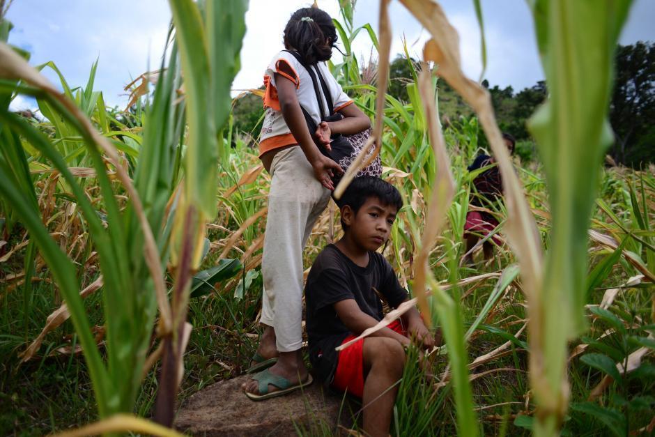 El MAGA proyecta distribuir m&aacute;s de 1.2 millones de raciones de alimentos entre enero y febrero de 2027. (Foto: Archivo/Soy502)