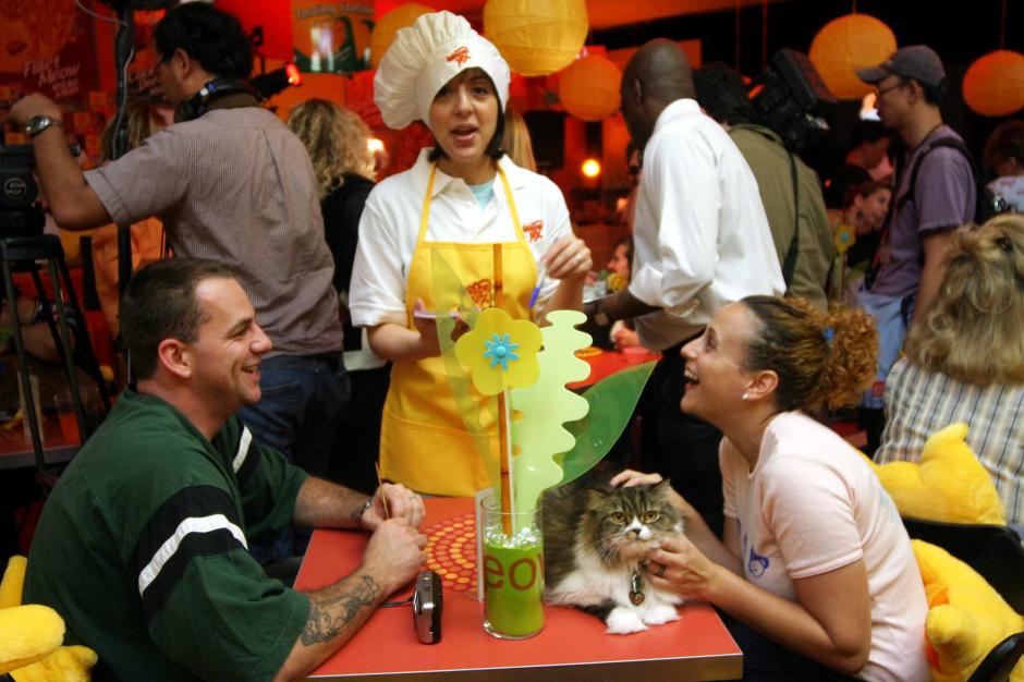 Las normas de 'La Gatoteca' est&aacute;n pensadas para el bienestar de sus inquilinos gatunos. (Foto: EFE)