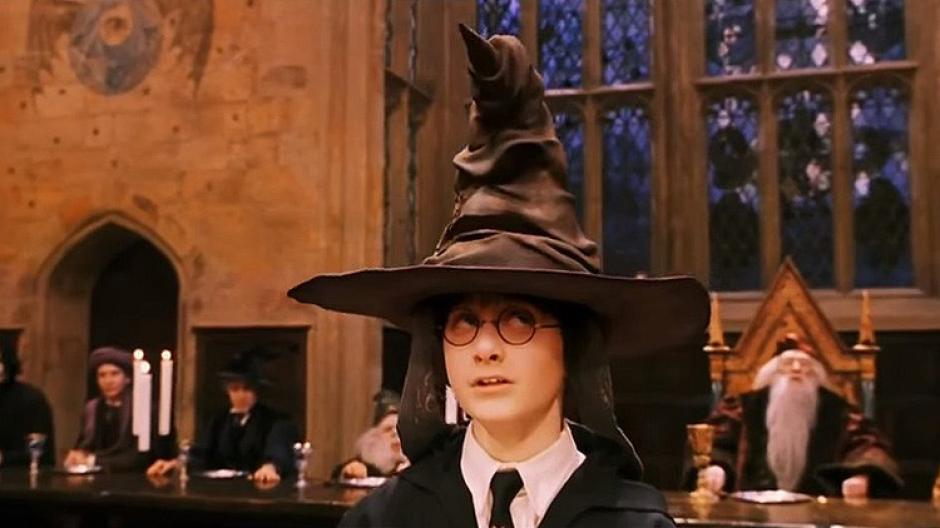 Descubren la "ara&ntilde;a de Harry Potter" en la India. (Foto: Actualidad RT)