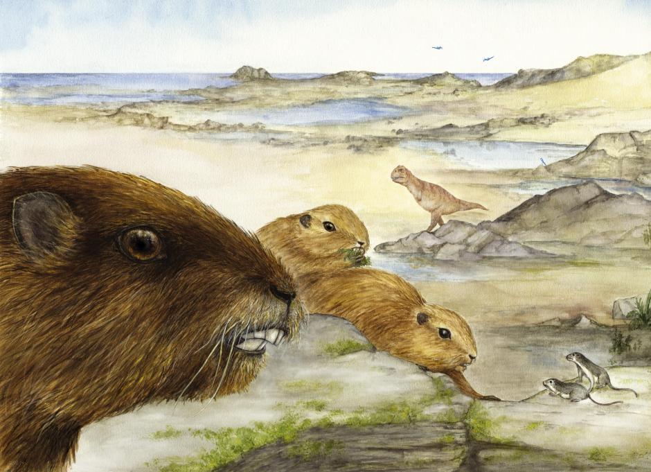 Fotograf&iacute;a facilitada por Nature de la recontrucci&oacute;n art&iacute;stica del mam&iacute;fero Vintana encontrado en un estuario de la fauna del Cret&aacute;cico Superior de Madagascar. Un equipo de cient&iacute;ficos ha descubierto el cr&aacute;neo de un Gondwanatheria, un grupo de mam&iacute;feros que vivieron en el Cret&aacute;cico Superior y de los que hasta hora solo se conoc&iacute;an los dientes. (Foto: EFE/ Luci Betti-Nash)