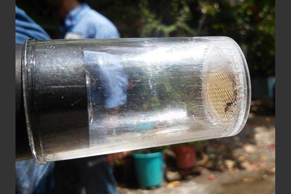 El país norteamericano suma ya 15 casos de infección por virus zika. (Foto: EFE)