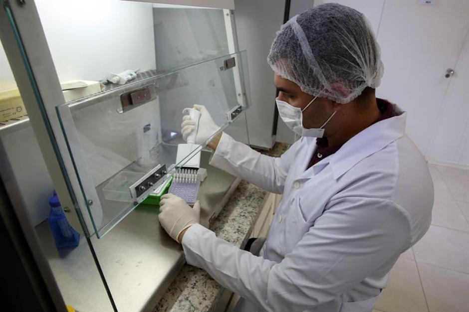 Un profesor en Brasil, miembro de la 'Red contra el Zika' en el laboratorio de la institución en Campinas analiza el virus del zika. (Foto: EFE)&nbsp;