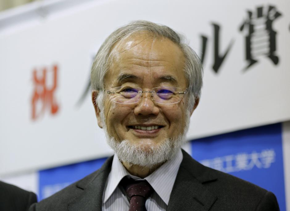 El Nobel de Medicina reconoci&oacute; este a&ntilde;o al japon&eacute;s Yoshinori Ohsumi. (Foto: EFE) 