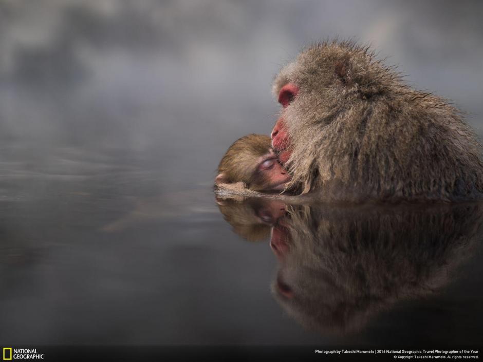 La  fotograf&iacute;a fue captada por Takeshi Marumoto en Nagano, Jap&oacute;n, participa en el categor&iacute;a, naturaleza. 