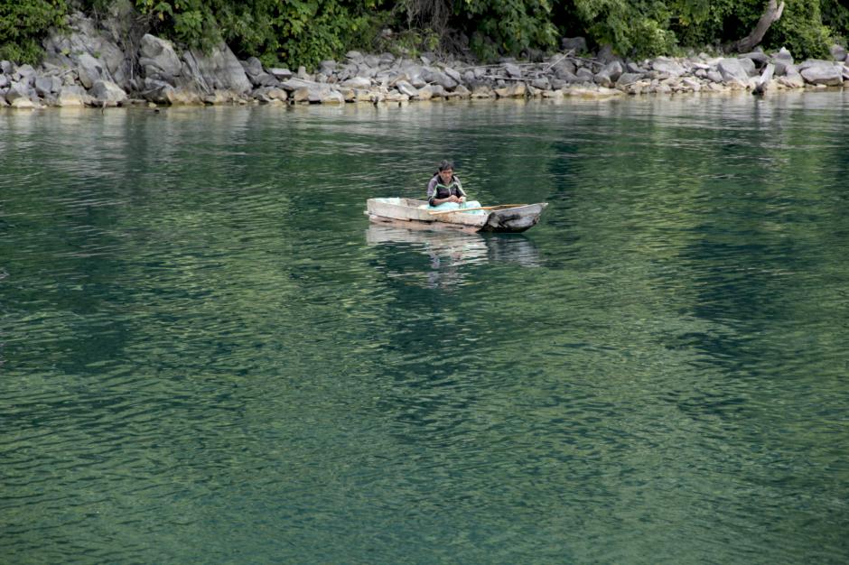 Las aguas del lago de Atitl&aacute;n podr&iacute;an estar amenazadas por esta especie. 