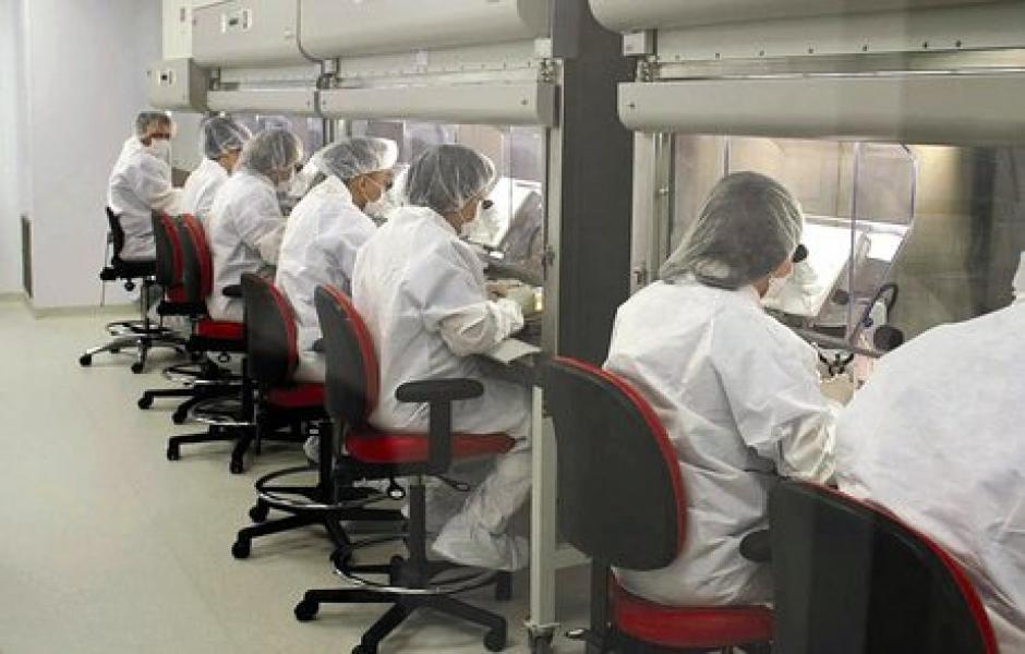 Cient&iacute;ficos de Granada y de Panam&aacute; han desarrollado y patentado una vacuna que evita la miasis. (AFP)