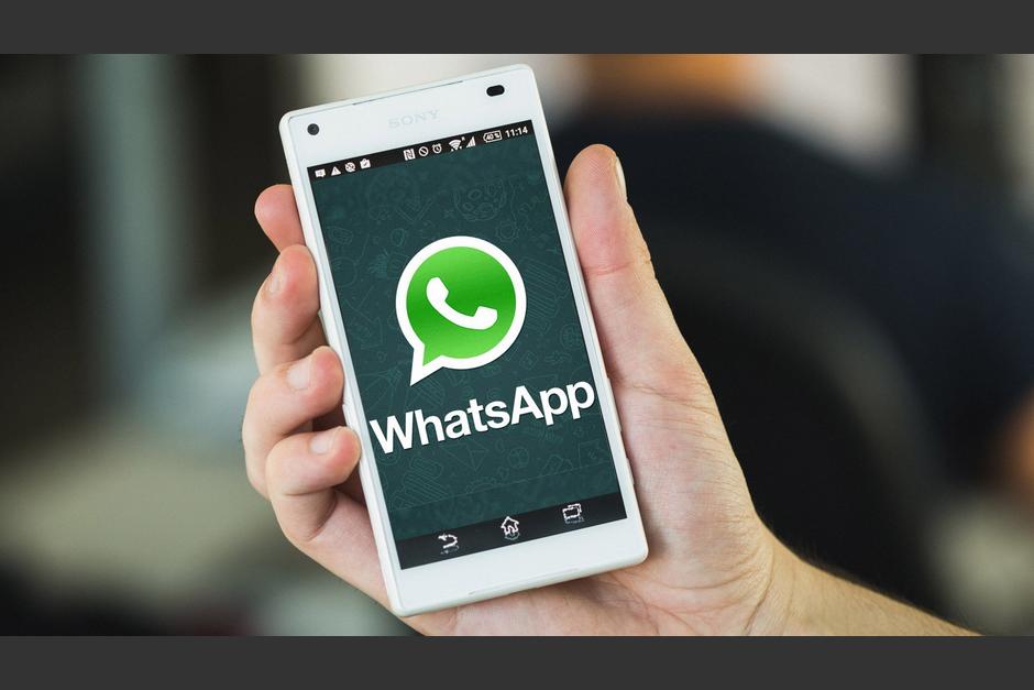 WhatsApp prueba en la veris&oacute;n beta los GIFs. (Foto: androidpit.es)