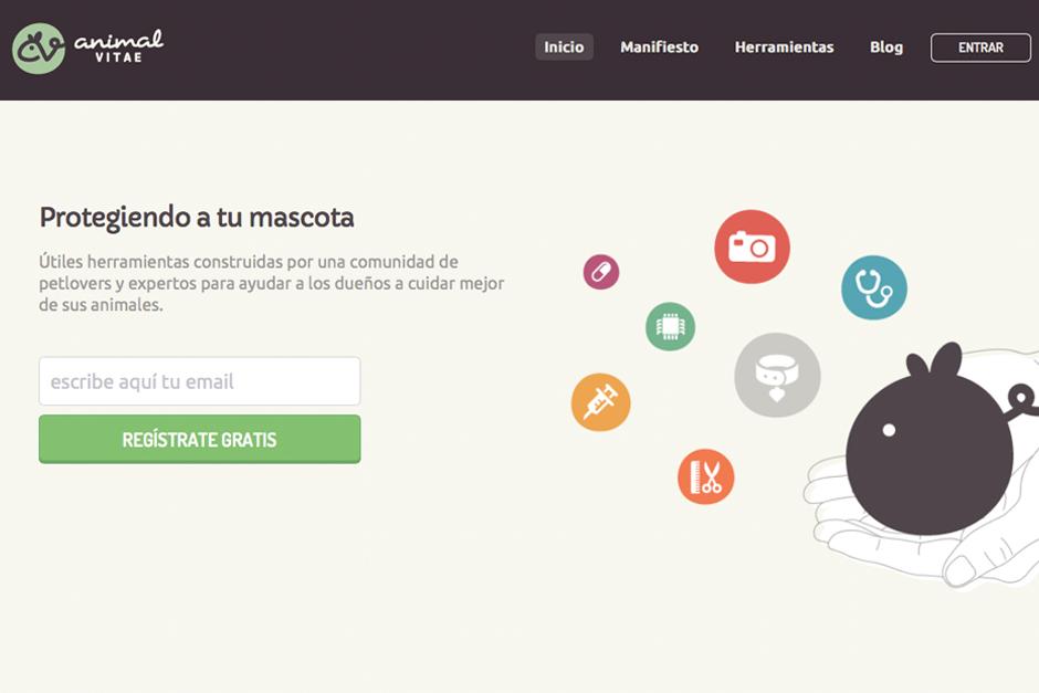 Animalvitae est&aacute; preparado para recibir entre sus brazos a todos los animales de compa&ntilde;&iacute;a del mundo. (Foto:&nbsp;Animalvitae)