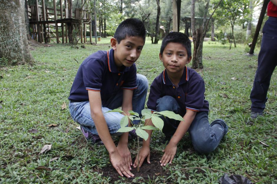 Dos ni&ntilde;os participan en una jornada de reforestaci&oacute;n en la zona 2 y aprenden de la importancia de conservar los bosques de Guatemala. (Foto: Fredy Hern&aacute;ndez/Soy502)