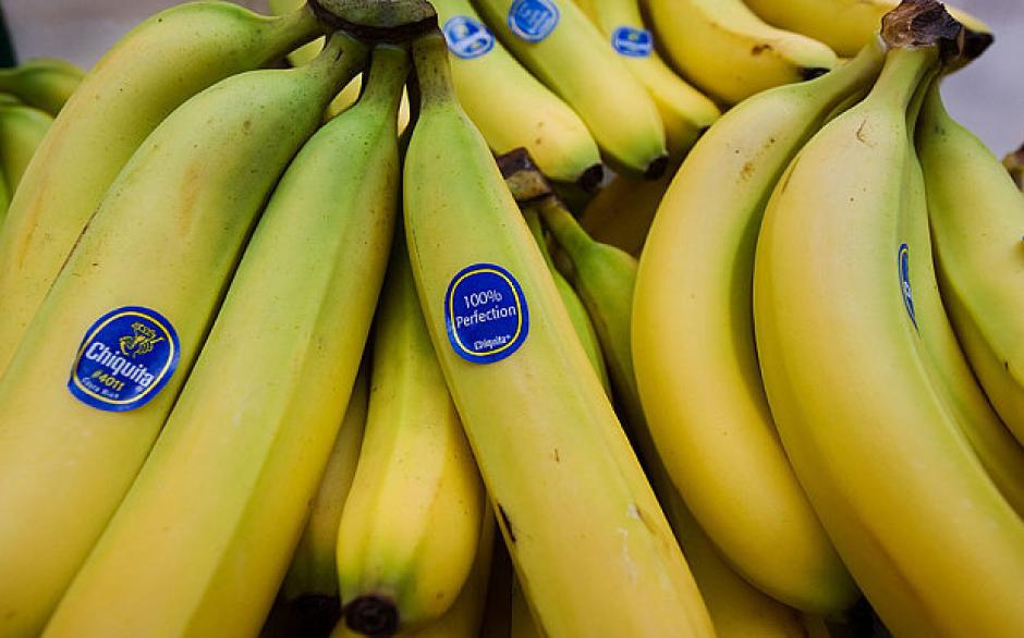 Los bananos Cavendish pueden desaparecer por una nueva plaga que afecta los cultivos. &nbsp;(Foto: &nbsp;www.telegraph.co.uk)