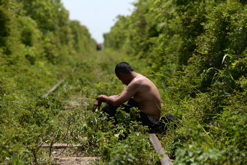 La falta de asistencia, las caminatas bajo el Sol, deshidrataci&oacute;n y cr&iacute;menes son algunos de los peligros que sufren los migrantes, en la foto, un migrante guatemalteco es afectado tras caminar 8 horas seguidas en las v&iacute;as del tren. (Foto: Esteban Biba/Soy502)&nbsp;