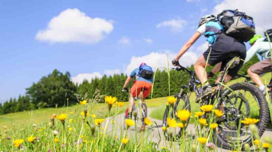 La adquisición podría superar los 125 mil quetzales. (Foto:&nbsp;Euroinnova)