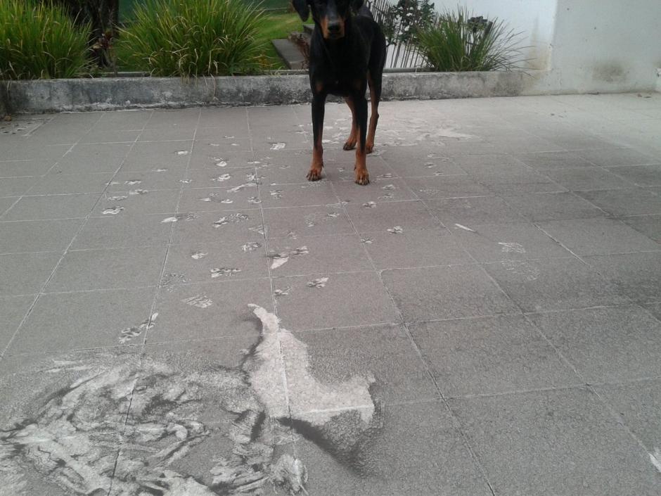 As&iacute; amaneci&oacute; Amatitl&aacute;n. (Foto: Twitter/@fredymd2)