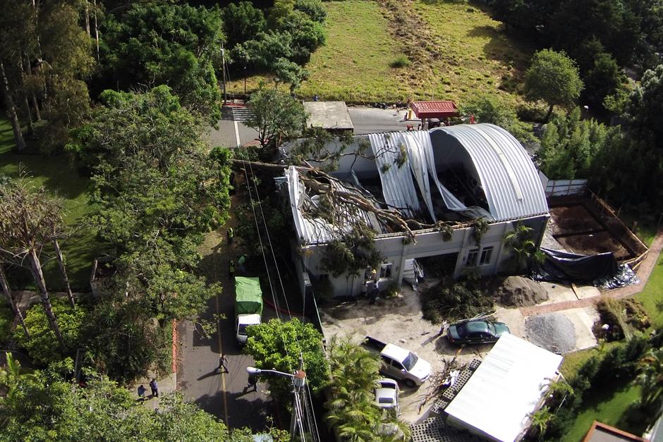 El &aacute;rbol afect&oacute; el techo de una galera, no se reportaron da&ntilde;os personales. (Foto: Deccio Serrano/Soy502)&nbsp;