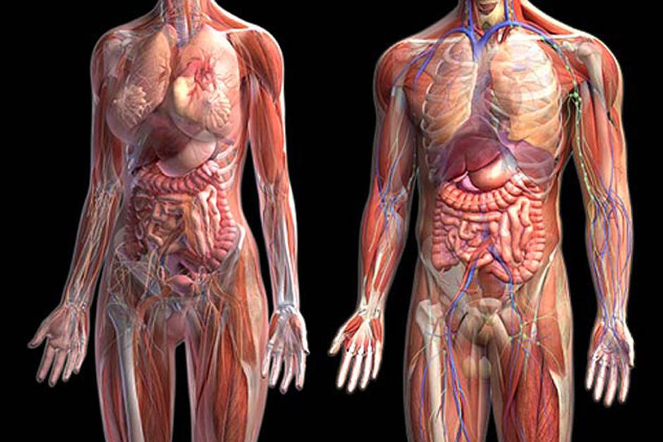 A&uacute;n as&iacute;, Google cree ver muchos usos potenciales de la tecnolog&iacute;a.&nbsp;