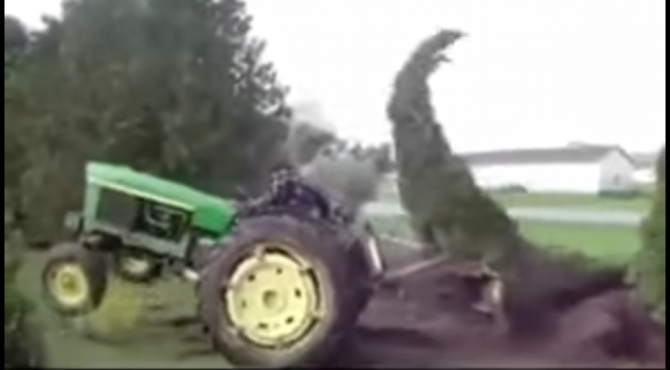 El curioso video tiene una duraci&oacute;n de 4 segundos. (Foto Youtube)