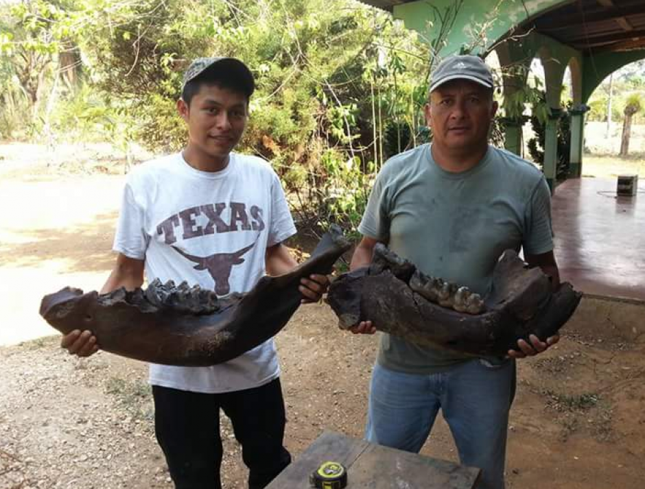 Germ&aacute;n L&oacute;pez nadaba en el r&iacute;o Chiyu cuando se top&oacute; con dos grandes f&oacute;siles. (Foto: Facebook)