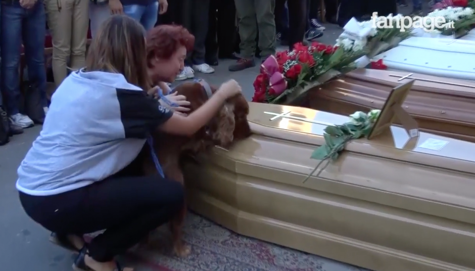 El perro olfateaba el f&eacute;retro de su due&ntilde;o. (Foto: Youtube)