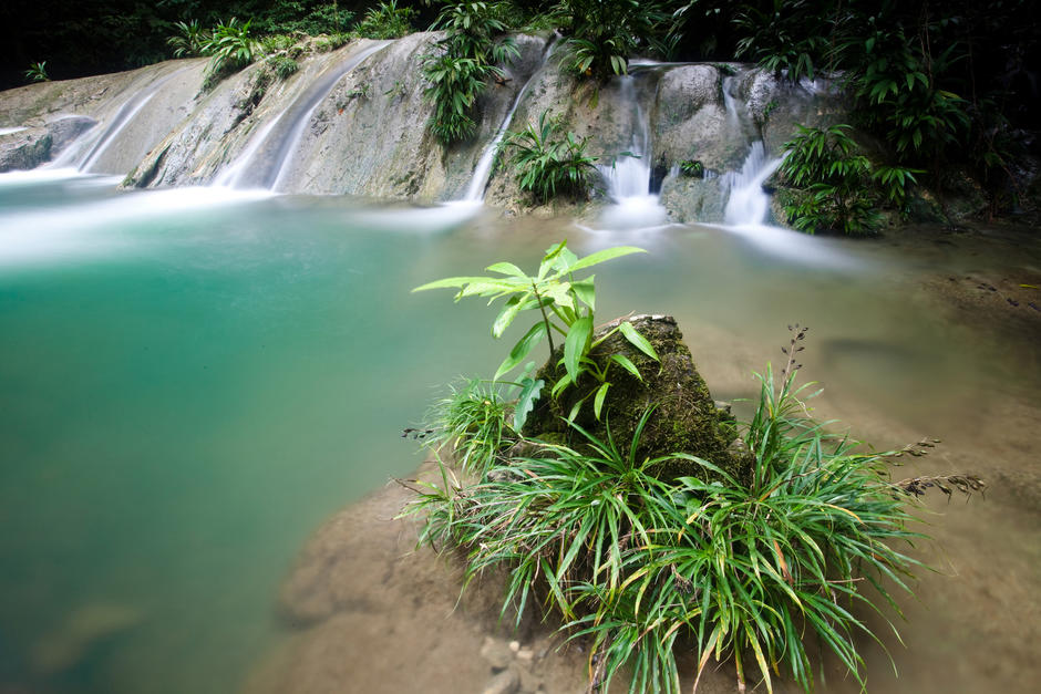 La Sierra Caral, es un gran complejo h&iacute;drico del departamento de Izabal, del cual forma parte el famoso Cerro San Gil y su monumental r&iacute;o Las Escobas (Foto: Globalwildlife.org)
