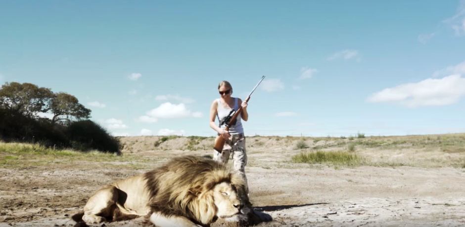 Un le&oacute;n muerto aparece en la escena. (Captura de pantalla: Jayden Tanner/YouTube)