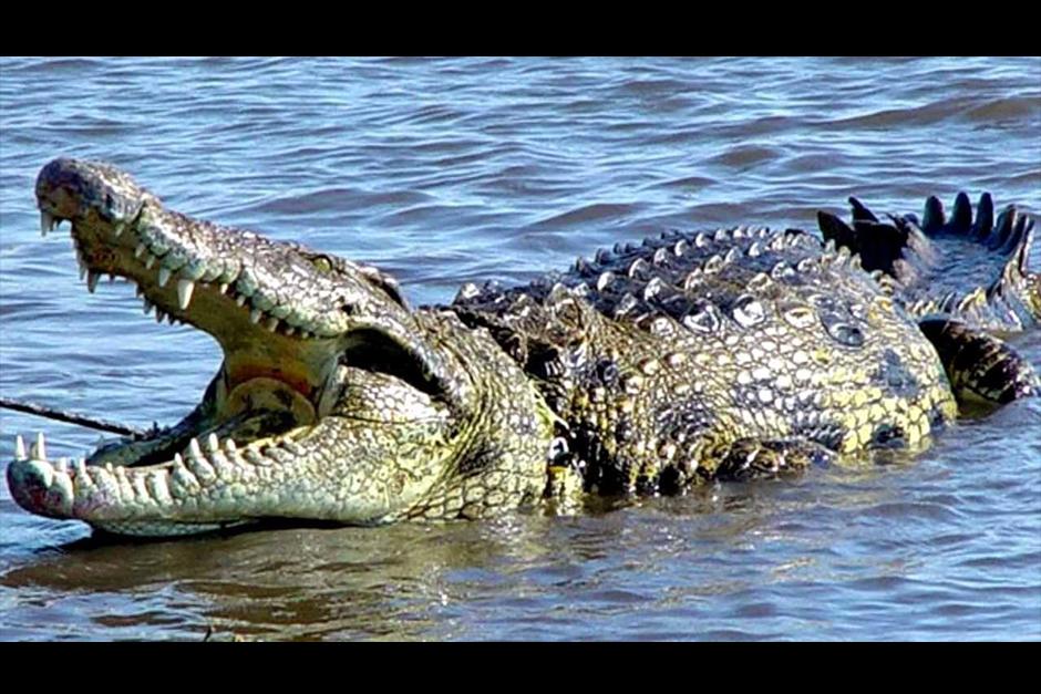 Autoridades afirman que aun no encuentran el cuerpo sin vida del joven. (Foto: Archivo)