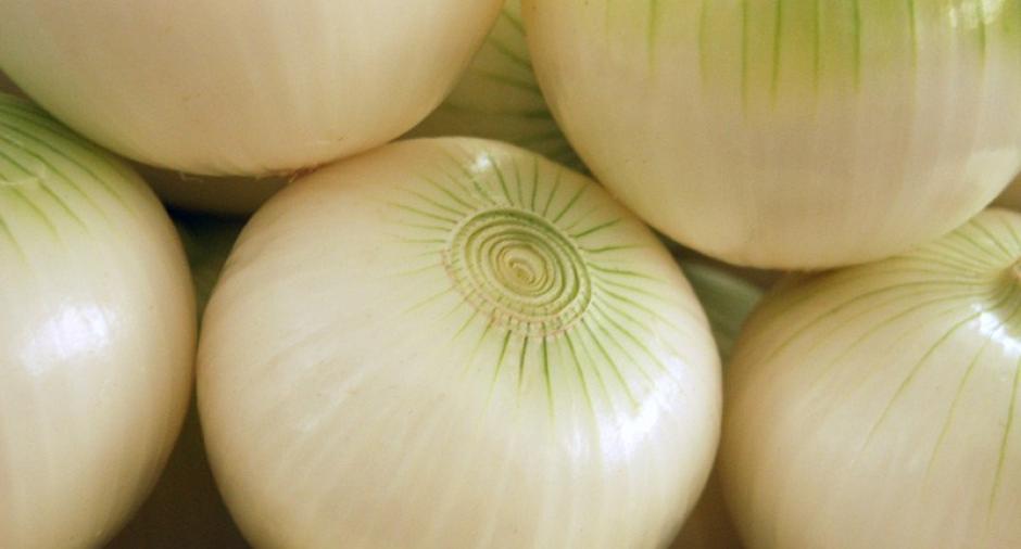 1. Cebolla: según "The National Onion Association" de Estados Unidos, las cebollas deben guardarse en un lugar fresco, seco y ventilado. Además deben guardarse sin pelar ni ponerlas en bolsas de plástico. Existe una excepción cuando ya están en pedazos y peladas, pueden guardarse en un recipiente tapado en el refrigerador. (Fuente: Morguefile)