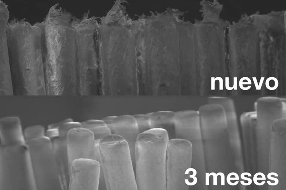 Así luce un cepillo nuevo y uno con tres meses de uso. (Foto: YouTube)