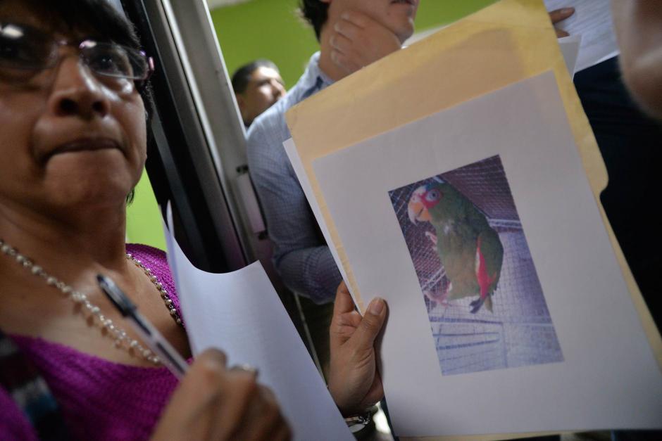 El 14 de marzo será el último día para realizar la inscripción. (Foto: Wilder López/Soy502)