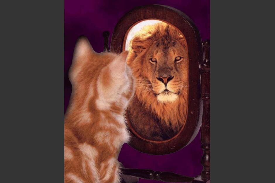 La confianza propia se construye desde la ni&ntilde;ez. Por eso hay que ver hacia atr&aacute;s con filosof&iacute;a, sin sobredimensionar los infortunios. (Foto: Gerant05.wordpress.com/The Coaching Alliance).