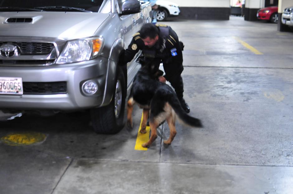 Un agente canino inspecciona el parqueo de la Torre de Tribunales por una presunta amenaza de bomba. (Foto: Alejandro Balan/Soy502)
