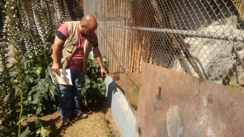 Dos guacamayas y un loro fueron robados del zool&oacute;gico Minerva ubicado en Quetzaltenango. Los delincuentes habr&iacute;a cortado la malla met&aacute;lica del aviario para sustraer a los animales. (Foto:&nbsp;@ErickColop)