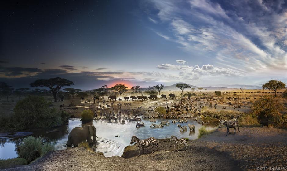 Stephen Wilkes es el fot&oacute;grafo responsable de este impresionante trabajo en el que captura el anochecer y el amanecer en una misma fotograf&iacute;a. Aqu&iacute; se ve la diversidad de fauna en el Parque Nacional del Serengeti, Tanzania. (Foto: Stephen Wilkes)