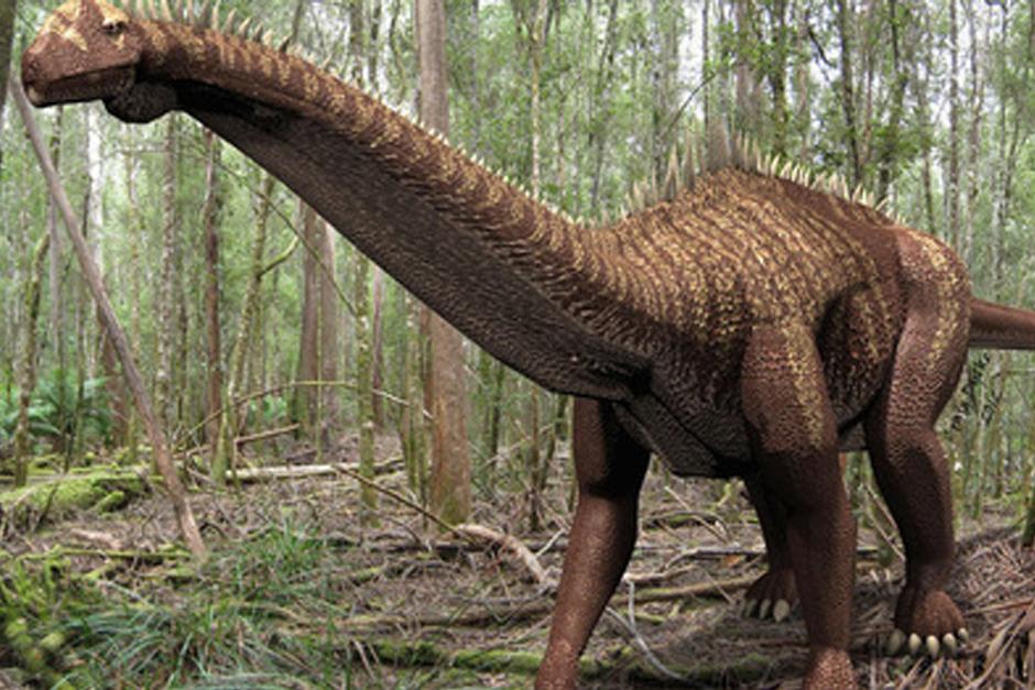 Los cient&iacute;ficos descubrieron partes de la cola de un "Titanosaurus", en Arabia Saud&iacute;.