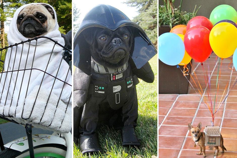 El concurso se realizar&aacute; el domingo 6 de octubre a las 10:30 am.