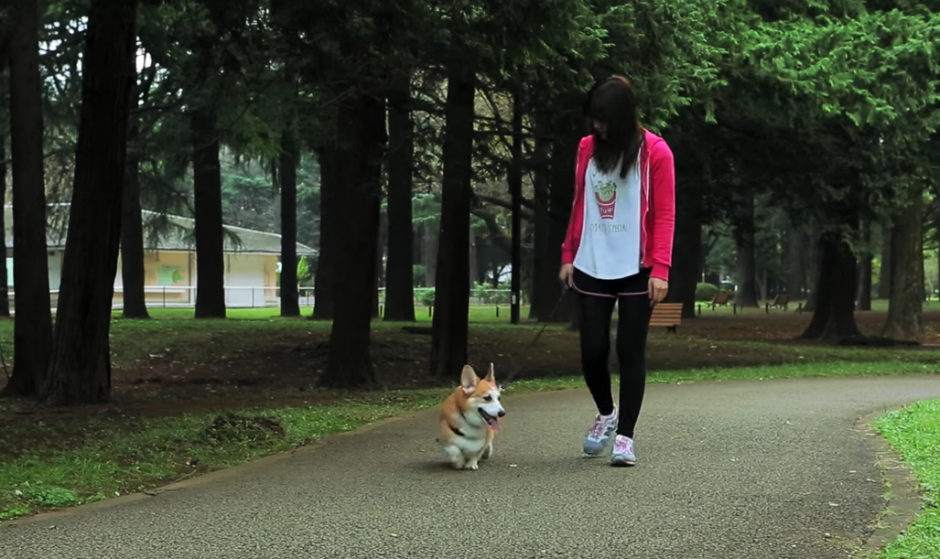 Imagina saber lo que siente tu mascota. (Youtube)