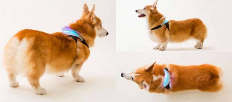 Por el momento a&uacute;n se est&aacute;n recolectando fondos para llevar a cabo el proyecto. (Foto: Inupathy)