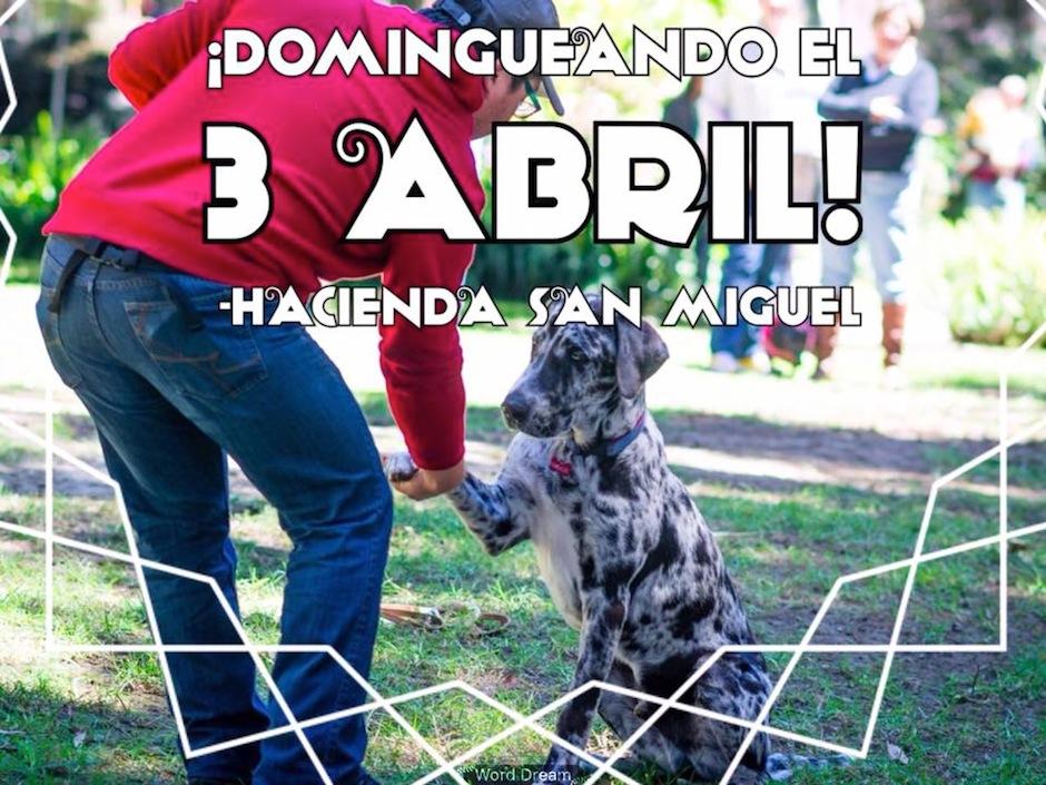 "Domingueando" es un evento de La Casona. (Foto: La Casona) 
