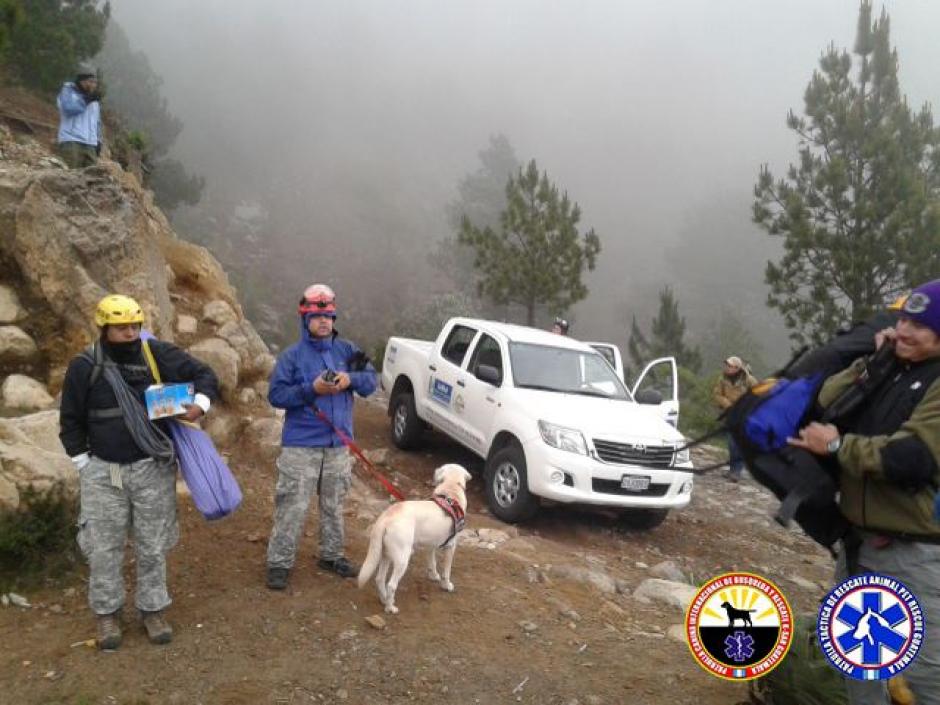 Drago, el perrito salva vidas realiz&oacute; su primer rescate. (Foto: K-SAR Guatemala) 