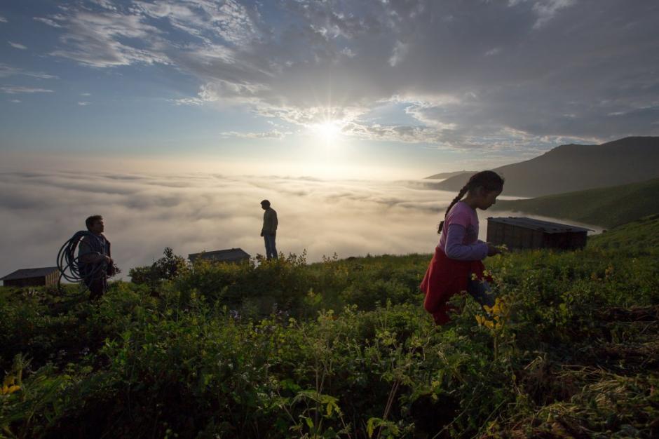 Este invento ayuda actualmente a 439 familias del asentamiento Villa Lourdes Ecol&oacute;gico II de Per&uacute;. (Foto: i0.wp.com)
