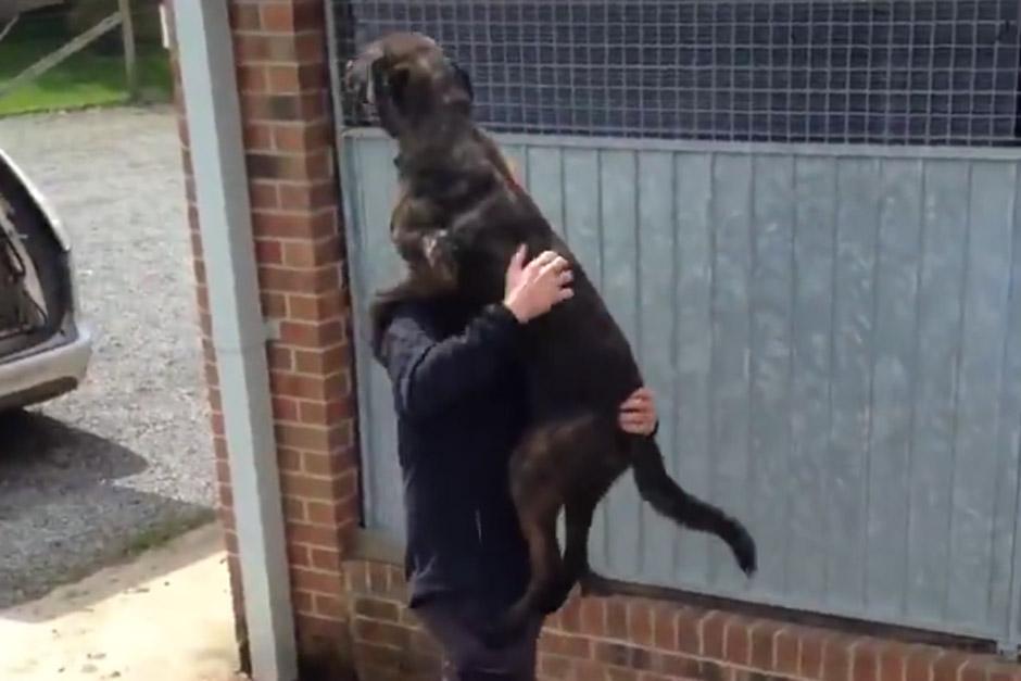 El perro corre a toda velocidad al ver a su due&ntilde;o. (Foto: Tomado de Facebook)