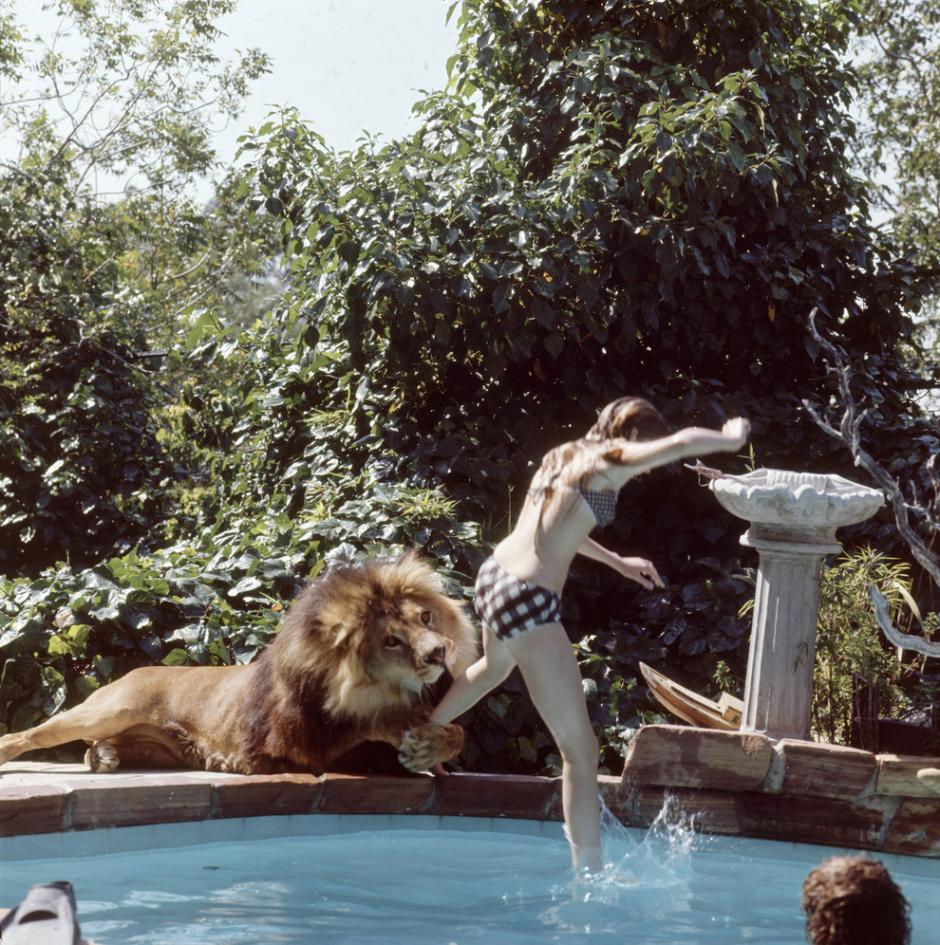 &nbsp;Neil trata de agarrar y morder su pierna mientras ella salta en el agua, en la casa familiar. (Foto: Colecci&oacute;n Life/Gett Michael Rougier)
