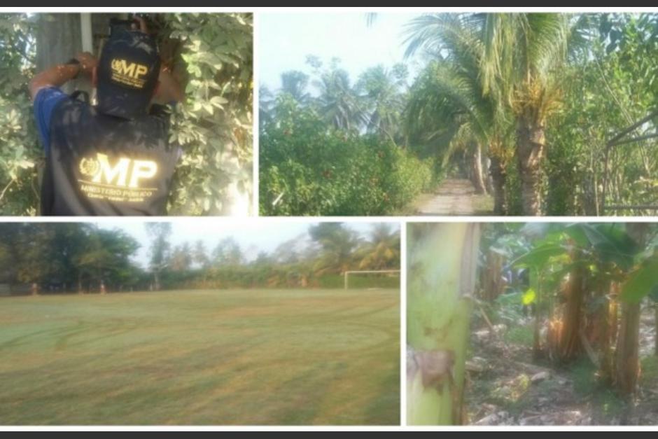 Las fincas de "Chamal&eacute;" fueron entregadas al Estado. (Foto: MP) 