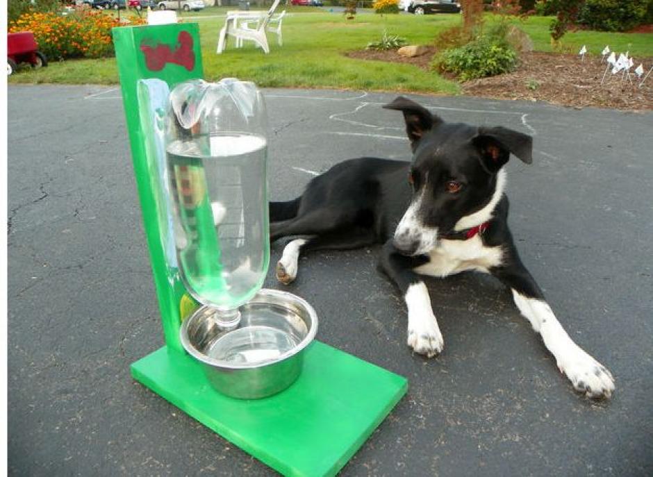 La forma de tomar agua para los perros no es como siempre la imaginamos. (Foto: Pinterest)