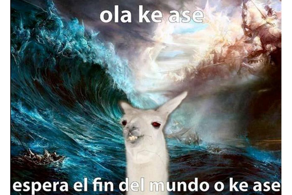 A la espera del fin del mundo.&nbsp;(Imagen: Twitter)